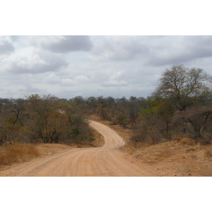 Photo Afrique du Sud Parc National Kruger route de la rivière Crocodile 2008-09 4
