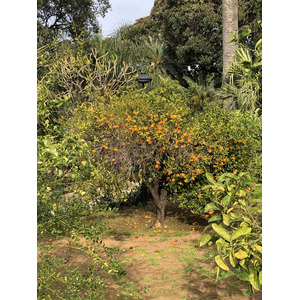 Photo Italie Sicile Palermo Palais des Normands 2020-02 240