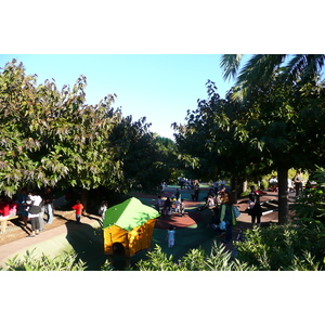 Photo France Nice Parc Phoenix 2007-10 65