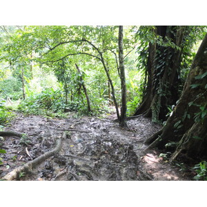 Photo Panama Bastimentos 2015-03 34
