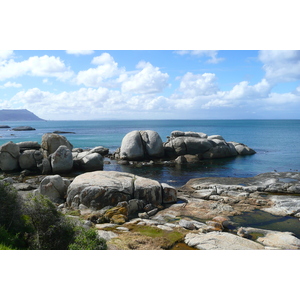 Photo Afrique du Sud Cap de Bonne Espérance 2008-09 84