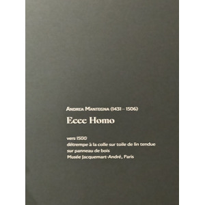 Photo France Paris Musée Jacquemart André 2023-04 119
