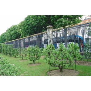Photo France Paris Jardin du Luxembourg 2007-04 24