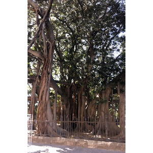 Photo Italie Sicile Palermo 2020-02 15