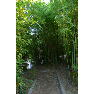 Photo France Nice Parc Phoenix 2007-10 41