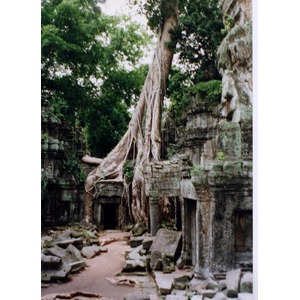 Photo Cambodge Temple d'Angkor 1996-06 23