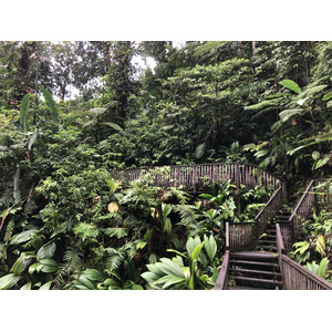 Photo Guadeloupe Chute du Carbet 2021-02 57