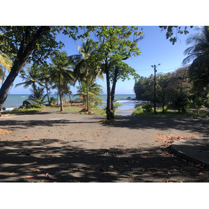 Photo Guadeloupe Bananier 2021-02 5