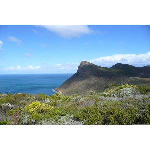 Photo Afrique du Sud Cap de Bonne Espérance pointe du cap de Bonne Espérance 2008-09 46