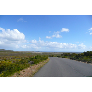 Photo Afrique du Sud Cap de Bonne Espérance pointe du cap de Bonne Espérance 2008-09 79