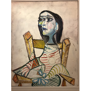 Photo France Paris Musee Picasso 2017-12 34
