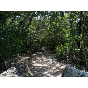 Photo Guadeloupe Pointe des Châteaux 2021-02 30