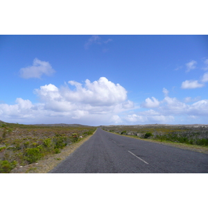 Photo Afrique du Sud Cap de Bonne Espérance pointe du cap de Bonne Espérance 2008-09 24