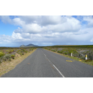 Photo Afrique du Sud Cap de Bonne Espérance pointe du cap de Bonne Espérance 2008-09 36