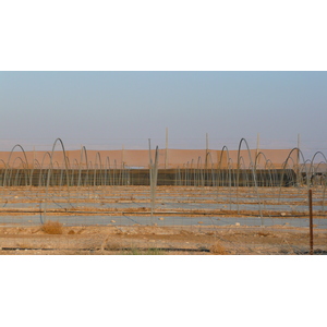 Photo Israel Mer Morte 2007-06 137