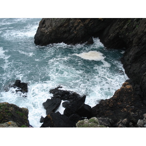 Photo Royaume-Uni Pembrokeshire Martins Havens 2006-05 4