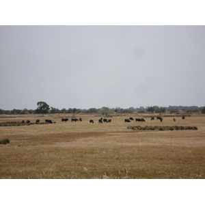 Photo France Camargue 2006-06 4