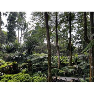 Photo Singapour Jardins botaniques de Singapore 2023-01 39