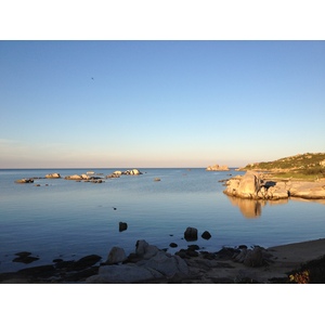 Photo France Corse Cavallo 2012-09 15