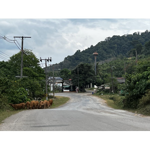 Photo Thaïlande Ko Lanta 2023-01 154