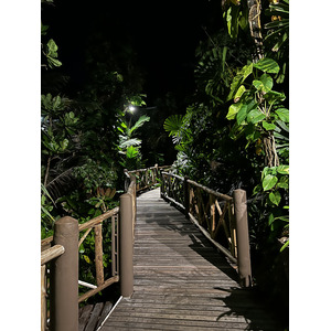 Photo Thaïlande Phuket Plage de Karon Restaurant On the rock 2021-12 6