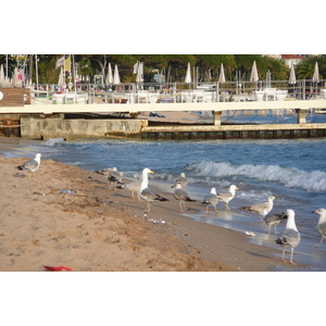 Photo France Cannes Plage 2008-04 53