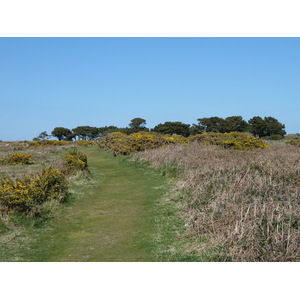 Photo Jersey 2010-04 0