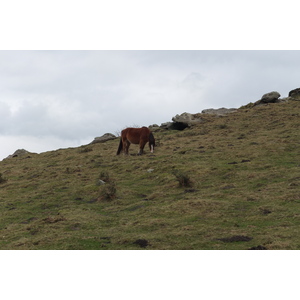 Photo France Pays Basque 2013-01 115