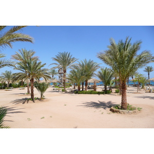 Photo Égypte Sharm el Sheikh 2008-06 42