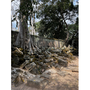 Photo Cambodge Siem Reap Ta Prohm 2023-01 1
