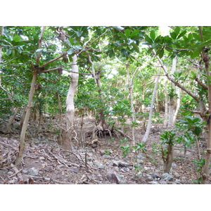 Photo Îles Fidji île Castaway(Seul au monde) 2010-05 48