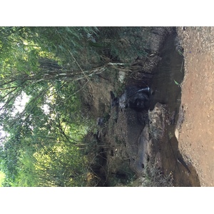 Photo Thaïlande Parc National Phu Hin Rong Kla 2014-12 246