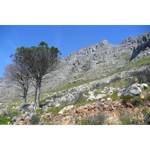 Photo Afrique du Sud Le Cap Montagne de la table 2008-09 21