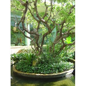 Photo Thaïlande Bangkok Hotel Dusit Tani 2005-12 23