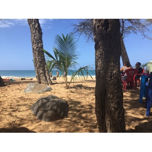 Photo Guadeloupe Plage de la Perle 2021-02 120