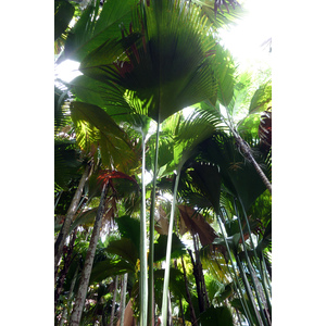 Photo Seychelles 2011-10 180