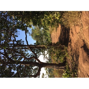 Photo Thaïlande Parc National Phu Hin Rong Kla 2014-12 247