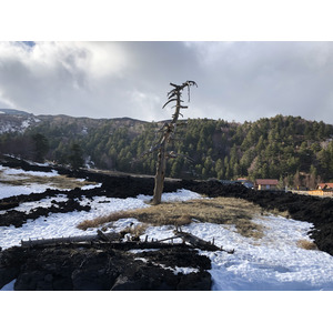 Photo Italie Sicile L'Etna 2020-02 42