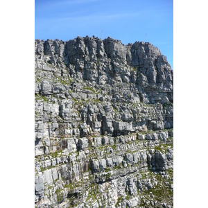 Photo Afrique du Sud Le Cap Montagne de la table 2008-09 25