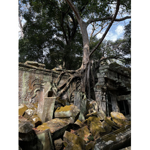 Photo Cambodge Siem Reap Ta Prohm 2023-01 132