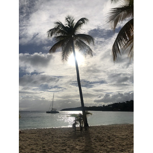 Photo Guadeloupe Plage de la Caravelle 2021-02 102