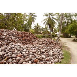 Photo Seychelles La Digue 2011-10 182