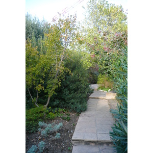 Photo France Nice Parc Phoenix 2007-10 59