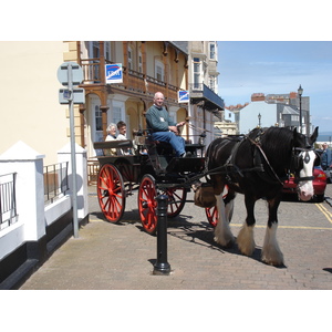 Photo Royaume-Uni Pembrokeshire Tenby 2006-05 27
