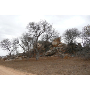Photo Afrique du Sud Parc National Kruger 2008-09 40