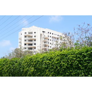 Photo Israel Tel Aviv Rue Rokach 2007-06 33