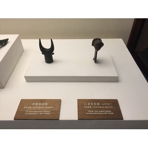Photo Chine Pékin Cité Interdite 2015-12 34