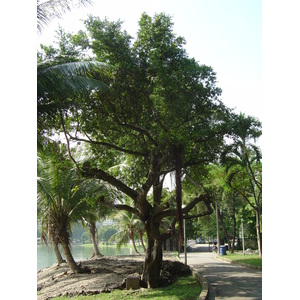Photo Thaïlande Bangkok Parc Lumpini 2005-12 9