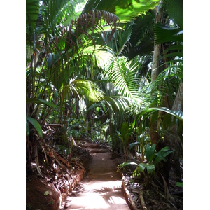 Photo Seychelles 2011-10 46