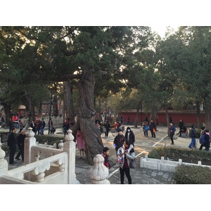 Photo Chine Pékin Cité Interdite 2015-12 192